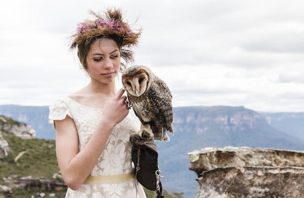 On the Wings of a Dream